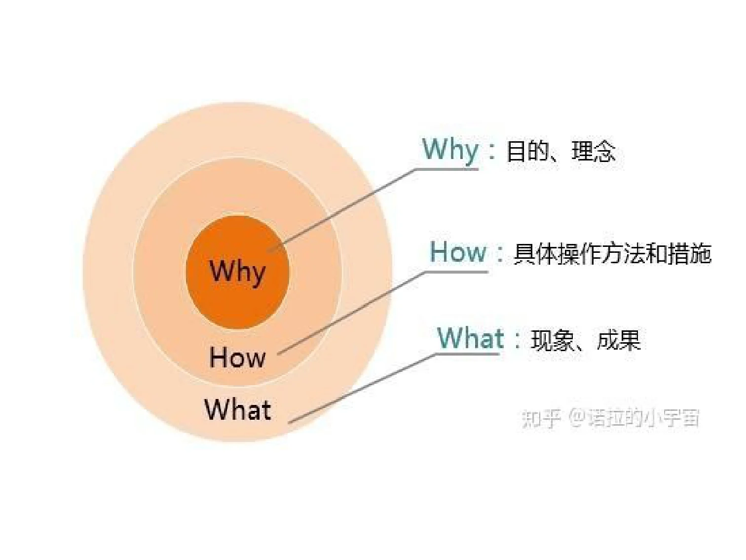 三视角教育智慧(王德生7.17):原稿第4页原稿插图或图示