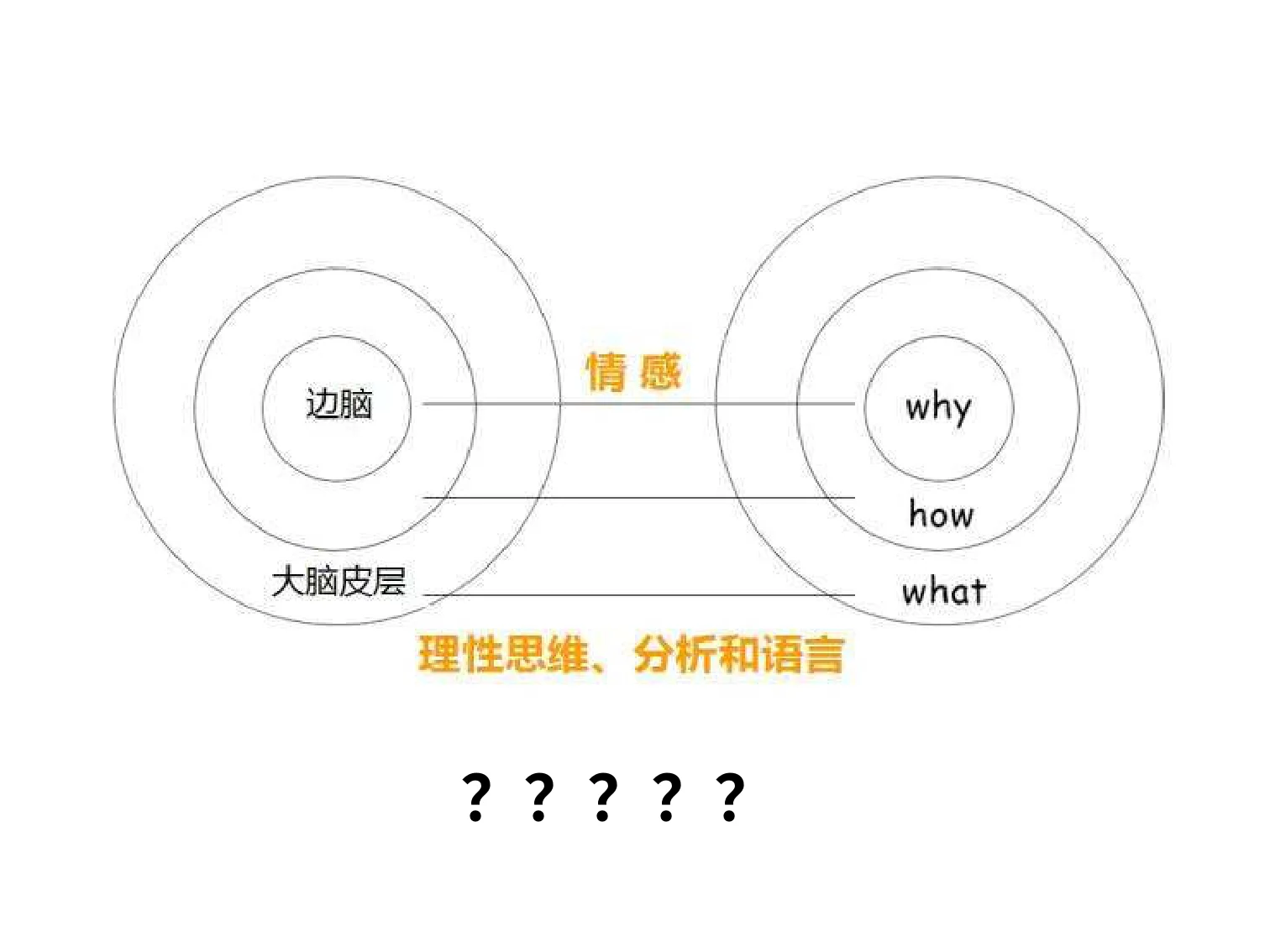 三视角教育智慧(王德生7.17):原稿第10页原稿插图或图示