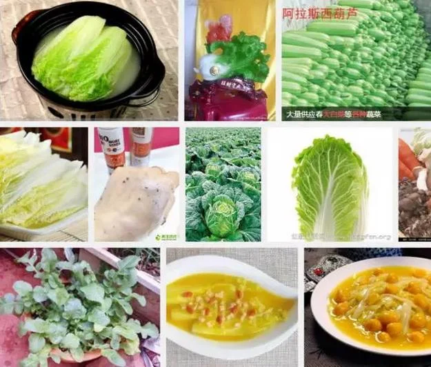 从津津有味的白菜到妙趣横生的乘法学习:原稿第7页原稿插图或图示