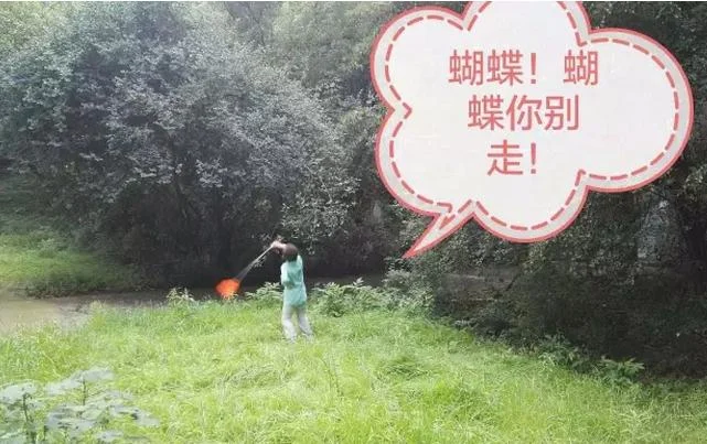 三视角为我人生导航:原稿第6页原稿插图或图示