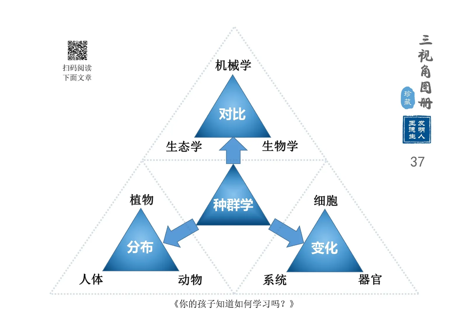 三视角图册第 037 图 种群学